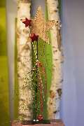 Blumen Kaimer - GALLERY