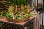 Blumen Kaimer - GALLERY