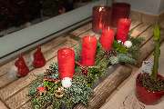 Blumen Kaimer - GALLERY