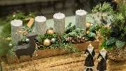 Blumen Kaimer - GALLERY