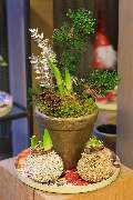 Blumen Kaimer - GALLERY