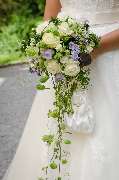 Blumen Kaimer - GALLERY