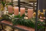 Blumen Kaimer - GALLERY