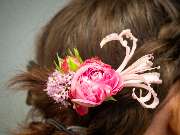Blumen Kaimer - GALLERY