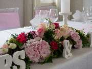 Blumen Kaimer - GALLERY