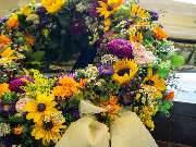 Blumen Kaimer - GALLERY