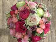 Blumen Kaiser - 14