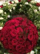Blumen Kaiser - 15