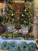 Blumen Kaiser - 20