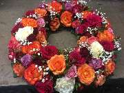 Blumen Kaiser - GALLERY