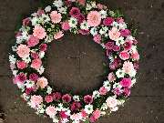 Blumen Kaiser - GALLERY