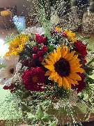 Blumen Kaiser - GALLERY