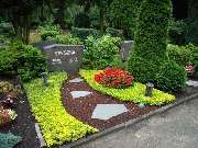 Blumen Kassing - GALLERY