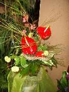 Blumen Kassing - GALLERY