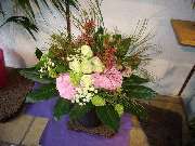 Blumen Kassing - GALLERY