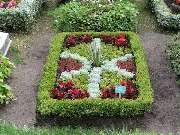 Blumen Kassing - GALLERY