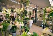Blumen & Keramik, Zabel Jörg - GALLERY
