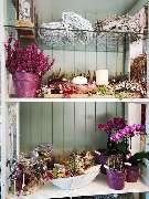 Blumen Kick | Günter Kick - Schokoladen | Blumen Kick, Lange Straße 18a, 31558 Hagenburg