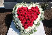 Blumen Kilger - 1