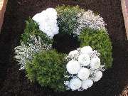 Blumen Kilger - 2