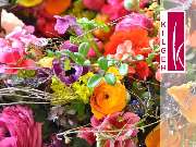 Blumen Kilger - 9