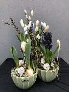 Blumen Kraft - GALLERY