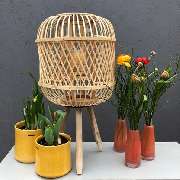Blumen Kraft - GALLERY