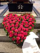 Blumen Krisam - GALLERY