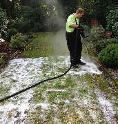 Blumen Krisam - GALLERY