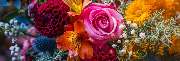 Blumen-Kühnlein am Südfriedhof - GALLERY