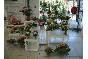 Blumen Lehfer - GALLERY
