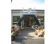 Blumen Lehfer - GALLERY
