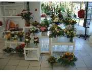 Blumen Lehfer - GALLERY