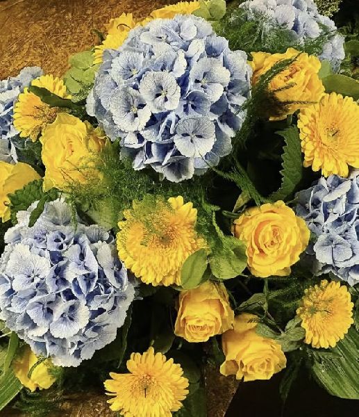 Blumen Leo - GALLERY