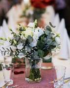 Blumen Leo - GALLERY