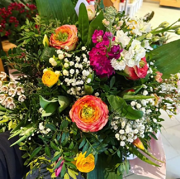 Blumen Leo - GALLERY
