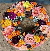 Blumen Leo - GALLERY