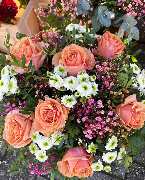 Blumen Leo - GALLERY
