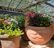 Blumen Lessle - GALLERY