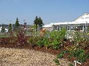 Blumen Lotz GbR - Blumengeschäft