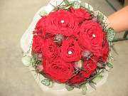 Blumen Lotz GbR - Innenraumbegrünung