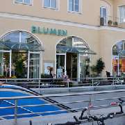 Blumen Maaß - 5