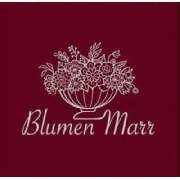 Blumen Marr - LOGO