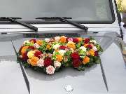 Blumen & mehr - GALLERY