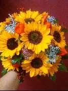 Blumen & mehr - GALLERY