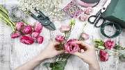 Blumen & mehr - GALLERY