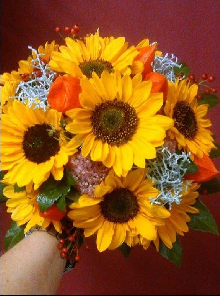 Blumen & mehr - GALLERY