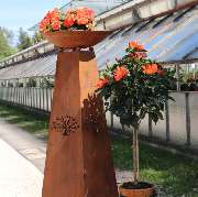 Blumen Metzler - GALLERY