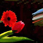 BLUMEN Michael Winter - LOGO