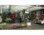 Blumen Nellessen Inh. Robert Nellessen - GALLERY